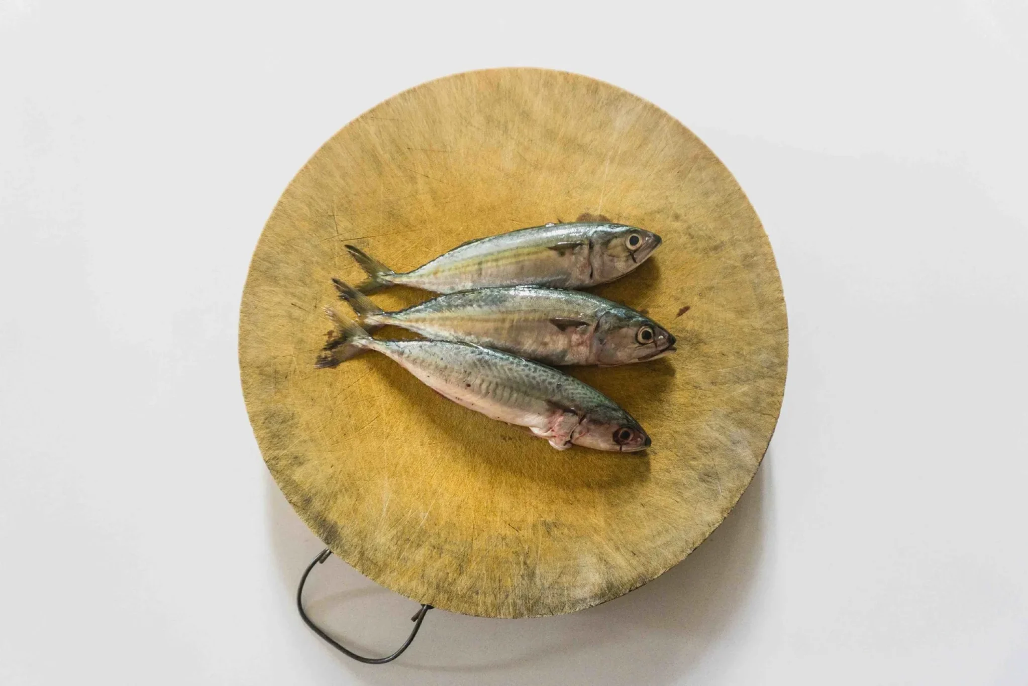 Accidental Anchovies-2