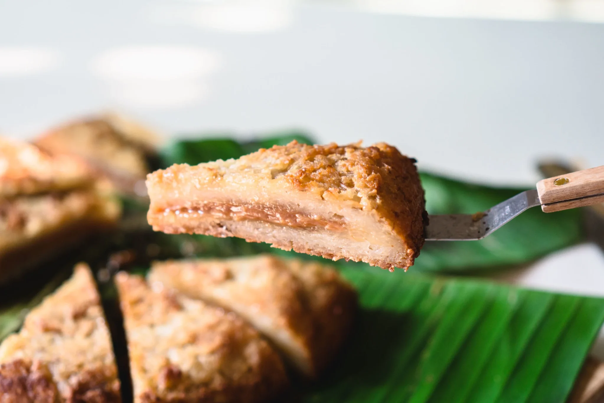Bingka Ubi (Tapioca Cake) Surprise-1