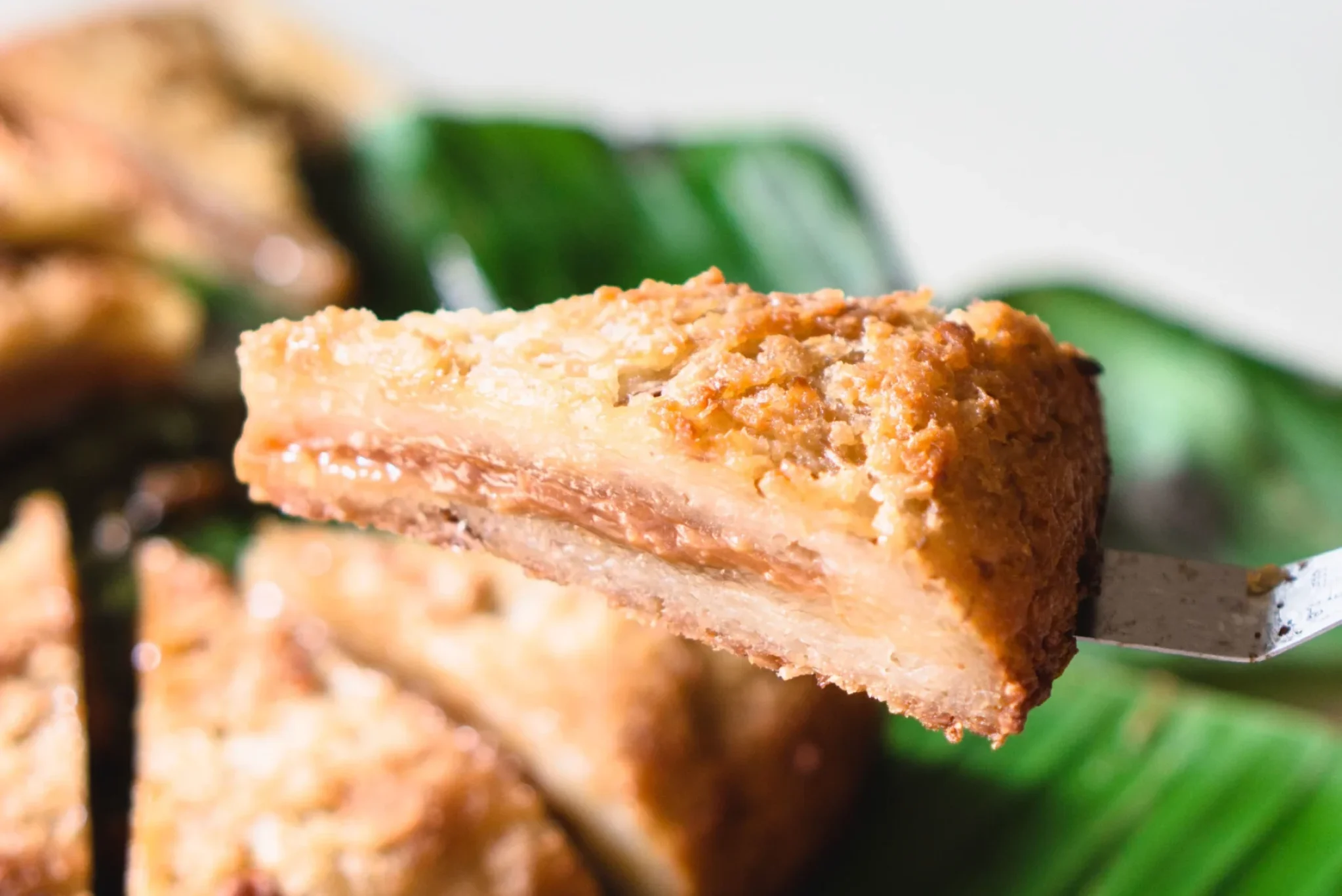 Bingka Ubi (Tapioca Cake) Surprise-7