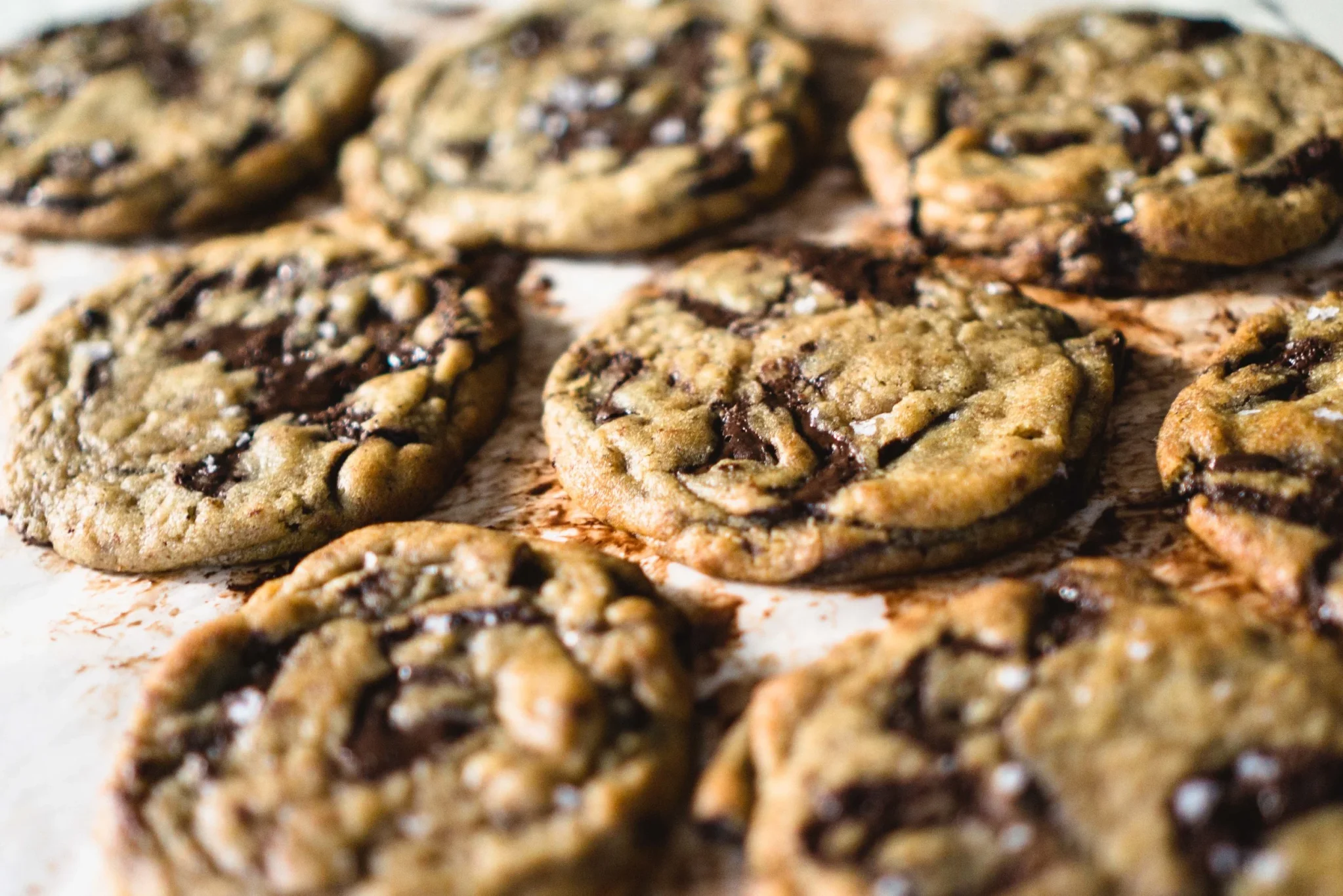 Black Garlic Chocolate Chip Cookies-1