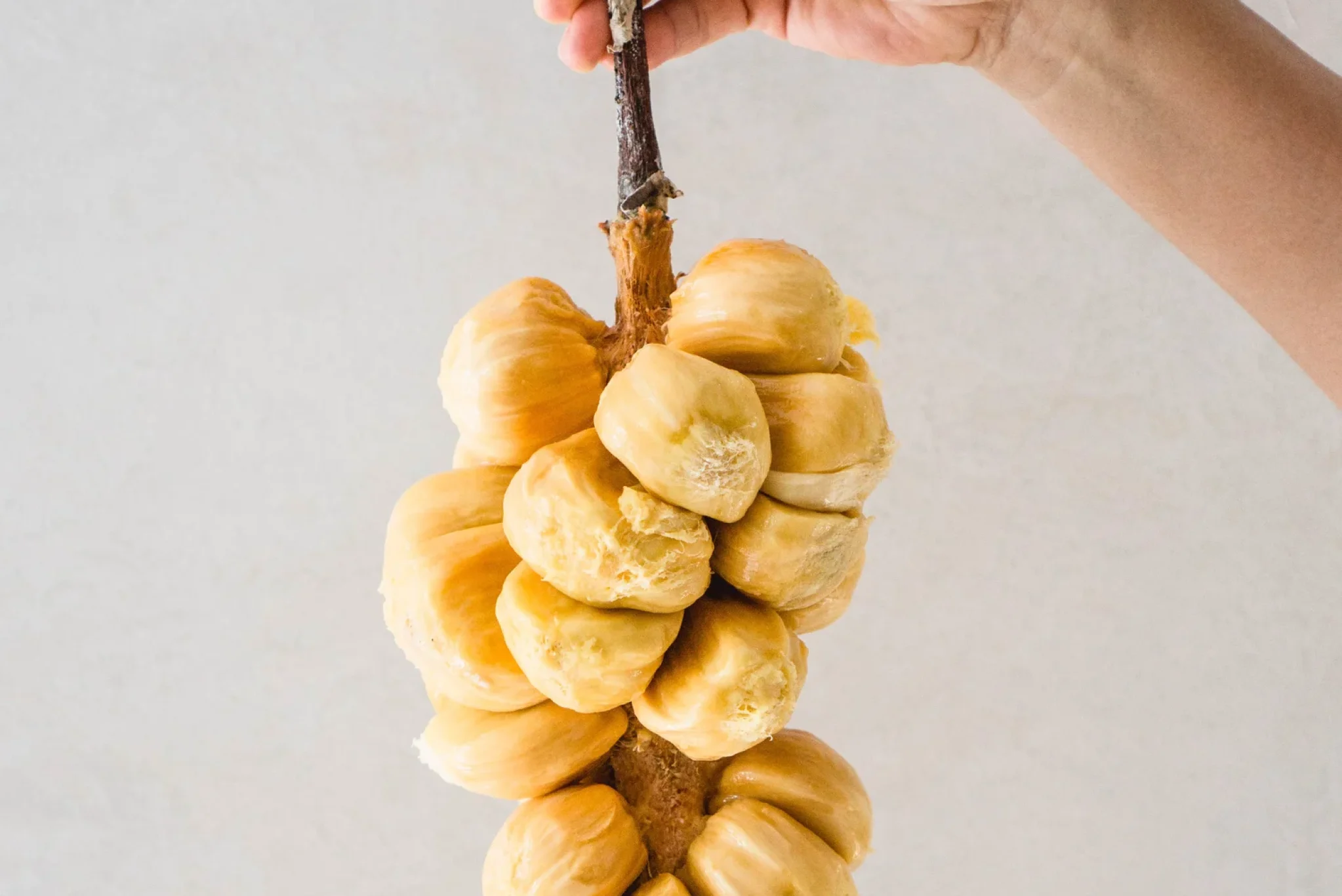 Cempedak Poppers5