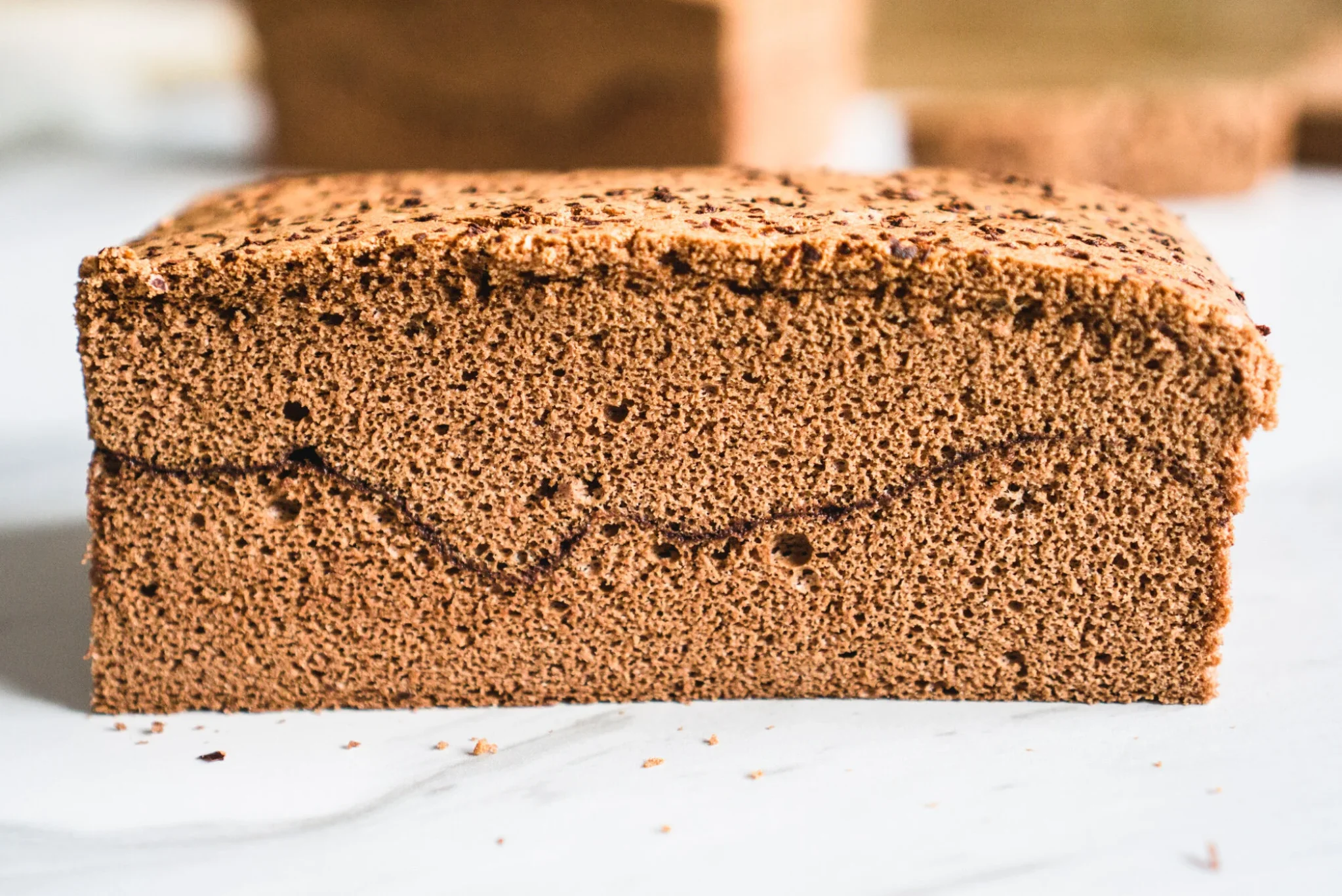 Chocolate Chili Castella Cake10