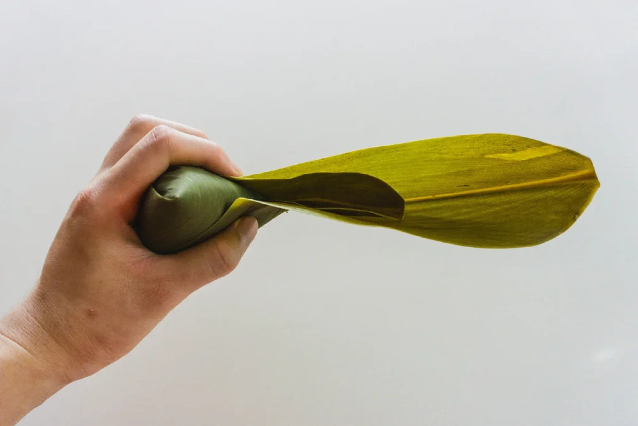 Dumplings, Dragon Boats, and Pesticide-Wine-13