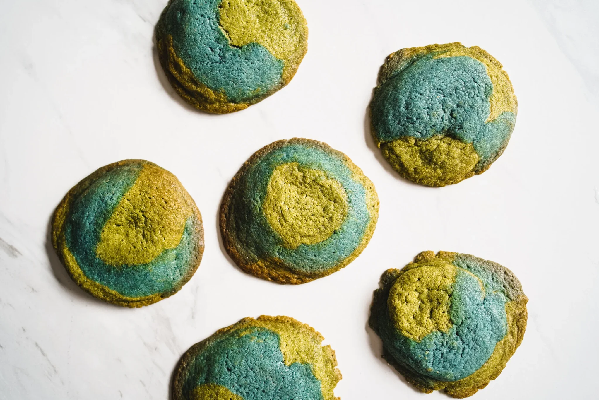 Earth Day Cookies1