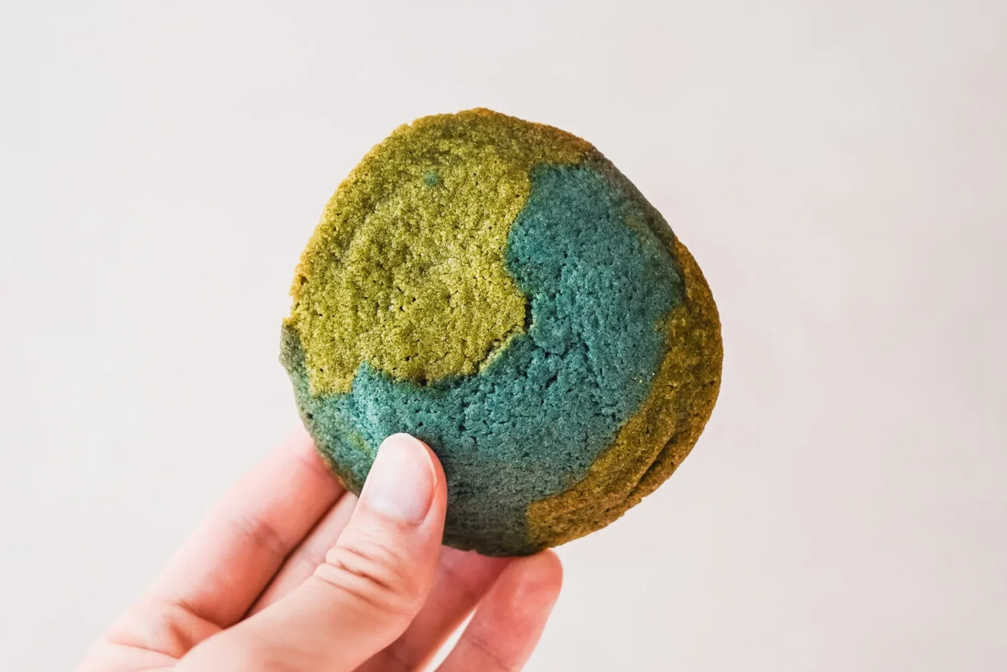 Earth Day Cookies4
