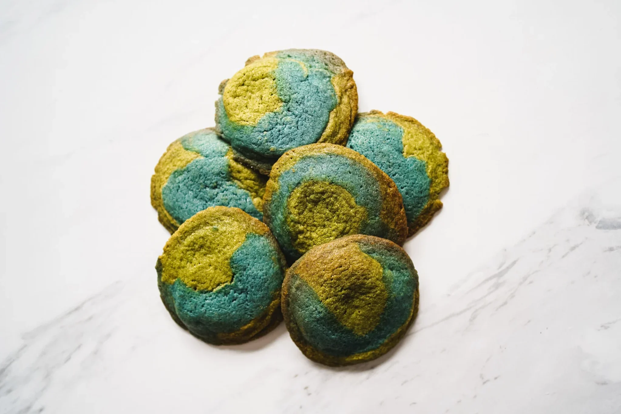 Earth Day Cookies6