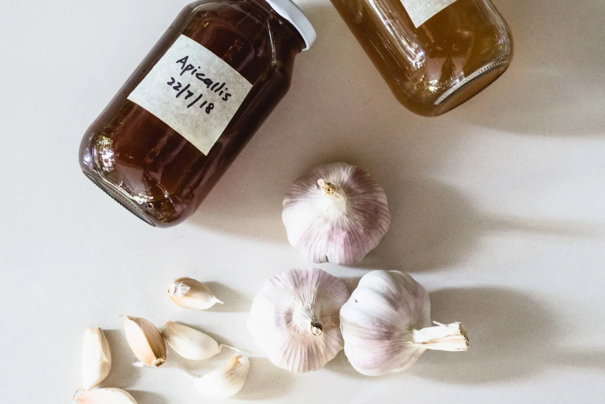 Garlic-Fermented Kelulut Honey-6