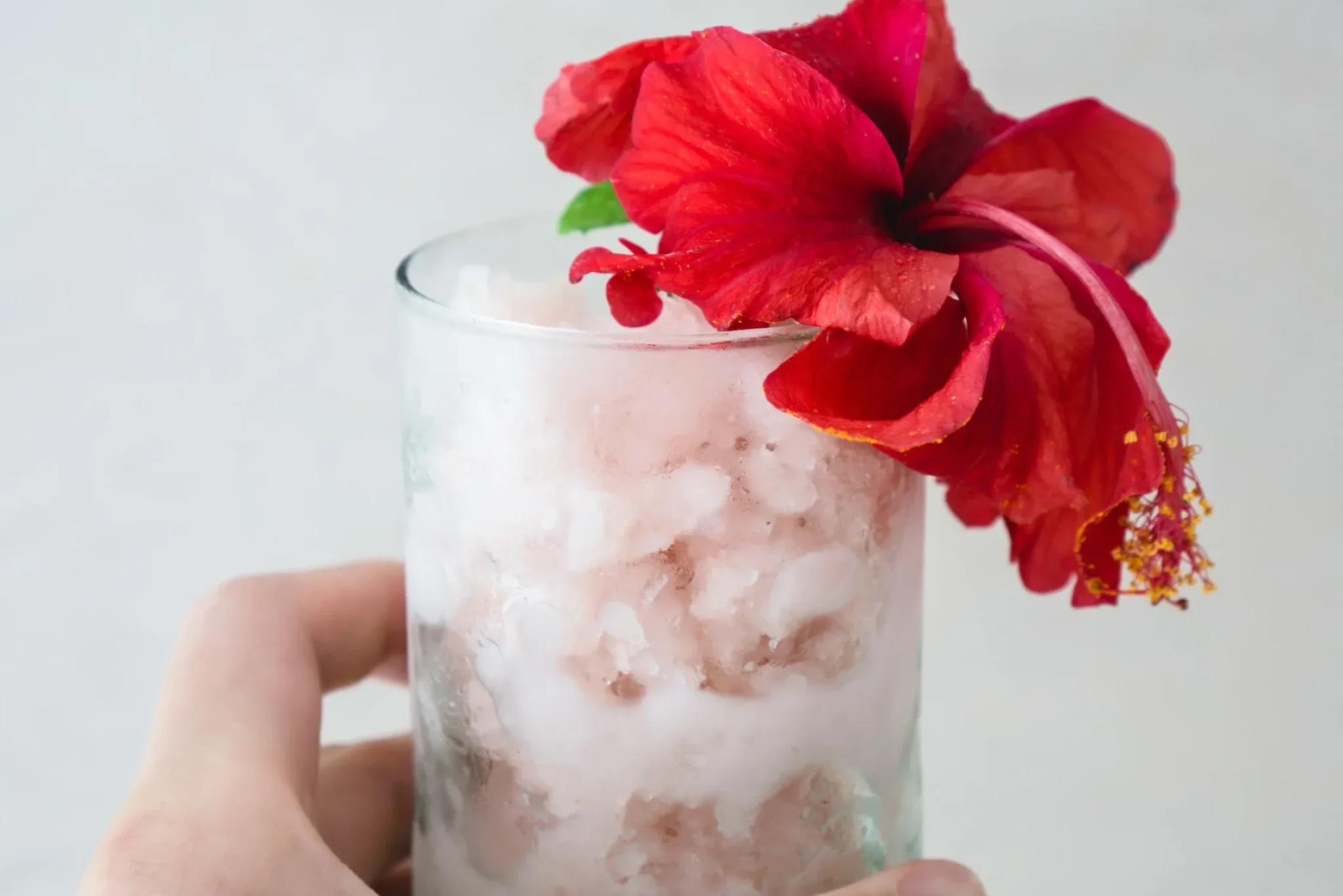 Hibiscus and Rambutan Sorbet-7