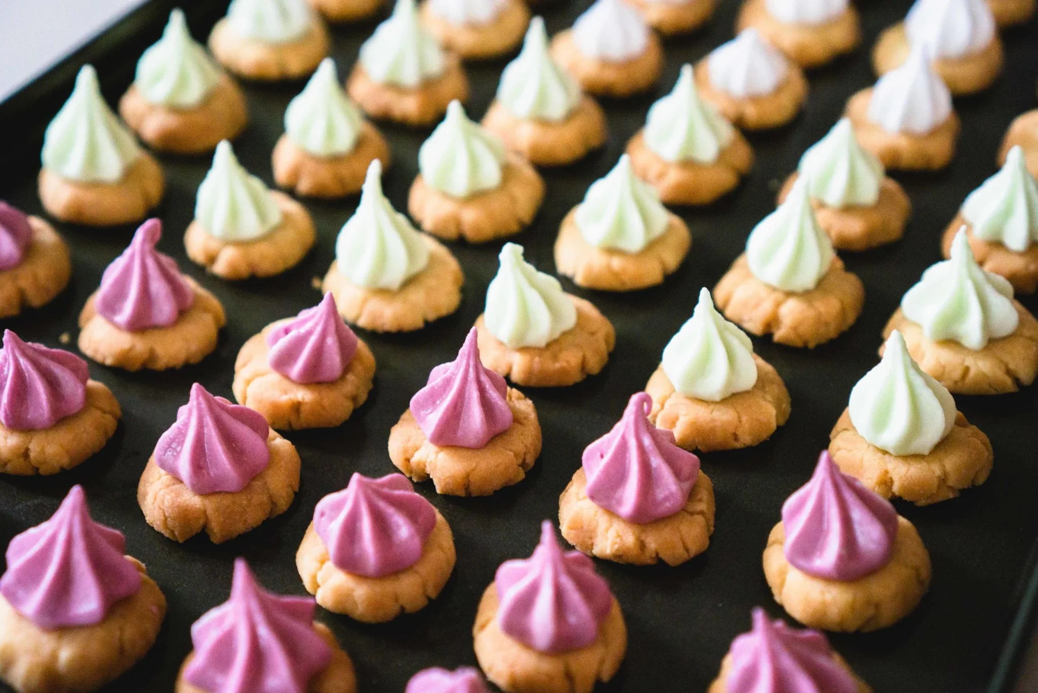 Homemade Iced Gem Biscuits-1