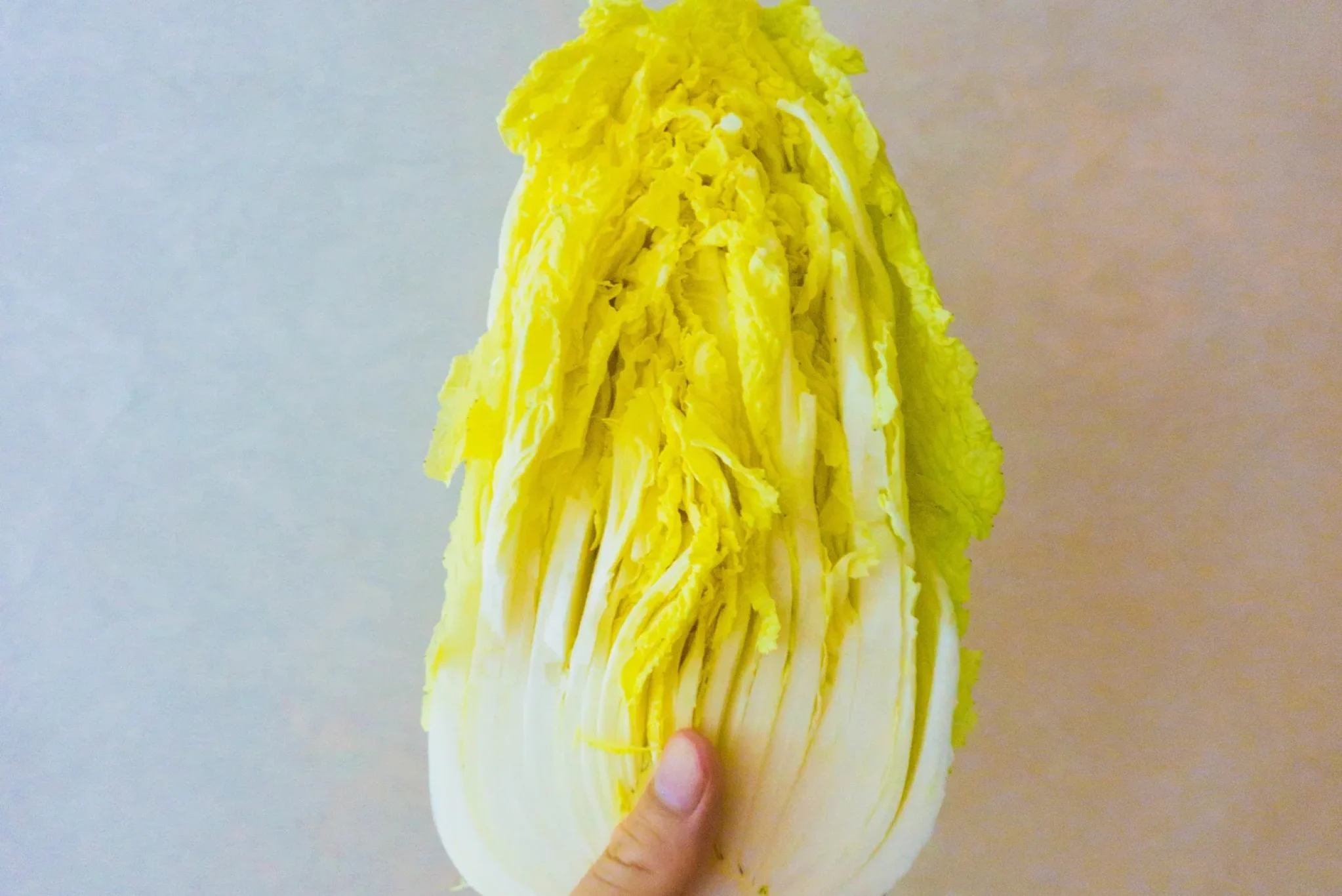 Kimchi!-2