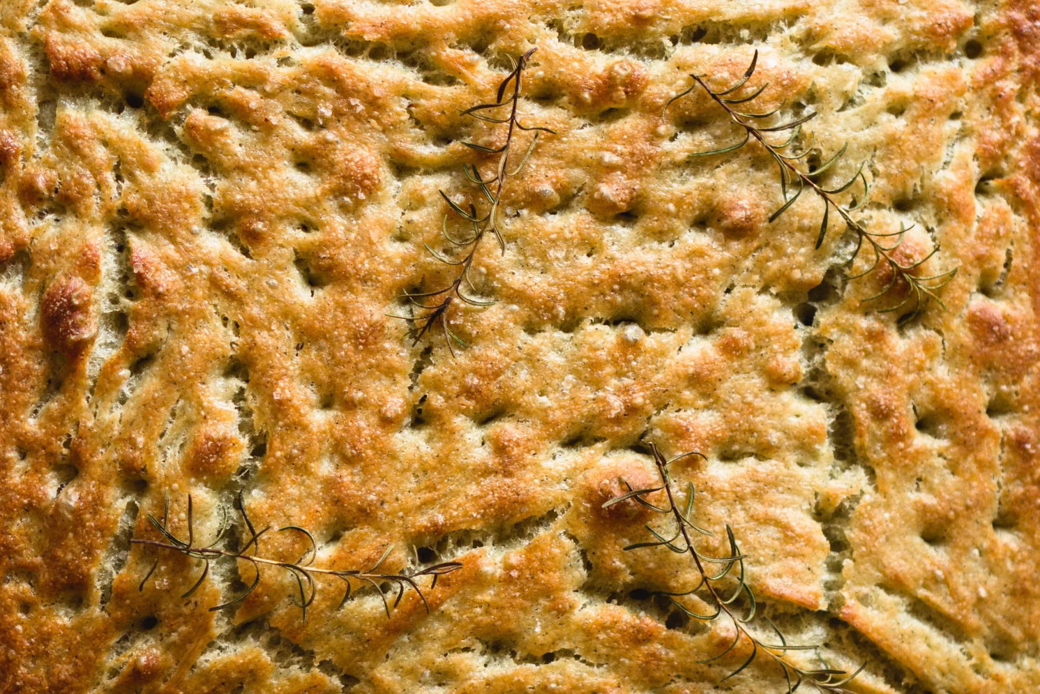 Kombu Focaccia Failure-00Featured