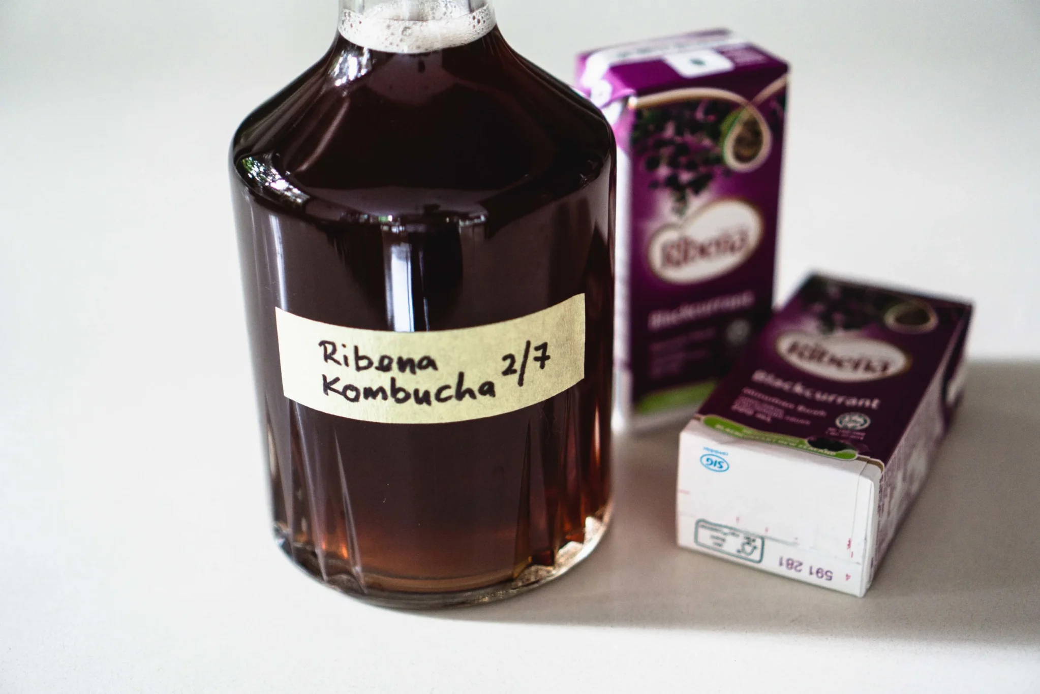 Ribena Kombucha-2