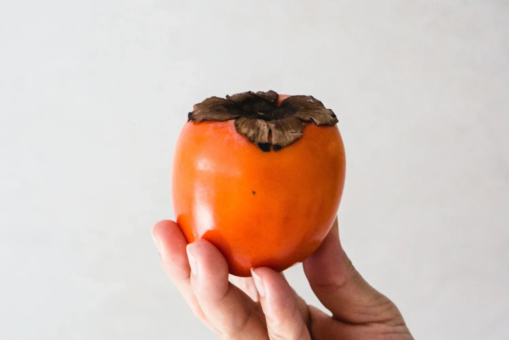 Roasted Persimmon & Milk Panna Cotta-1