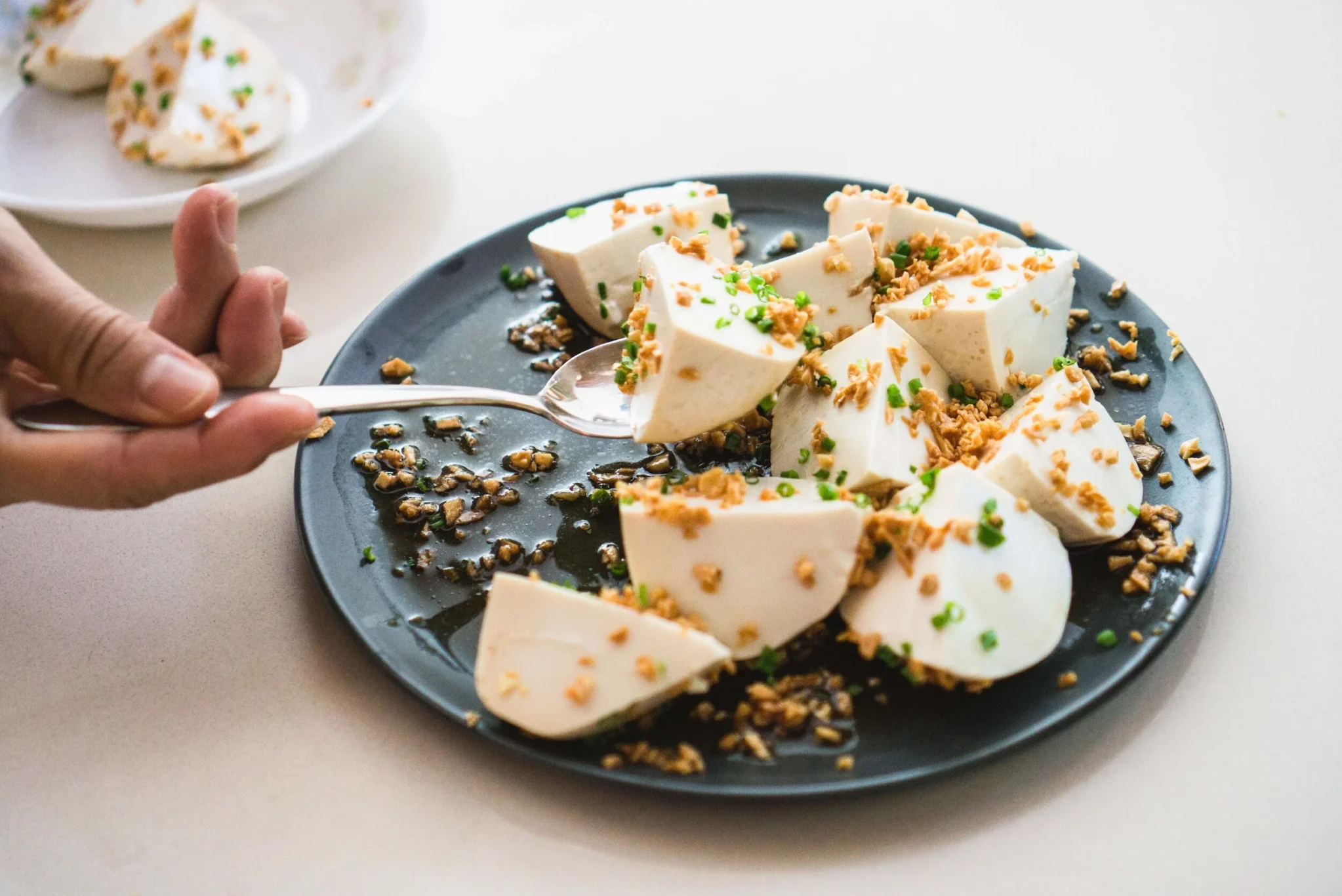 Silken Tofu with Garlic & Soy-7