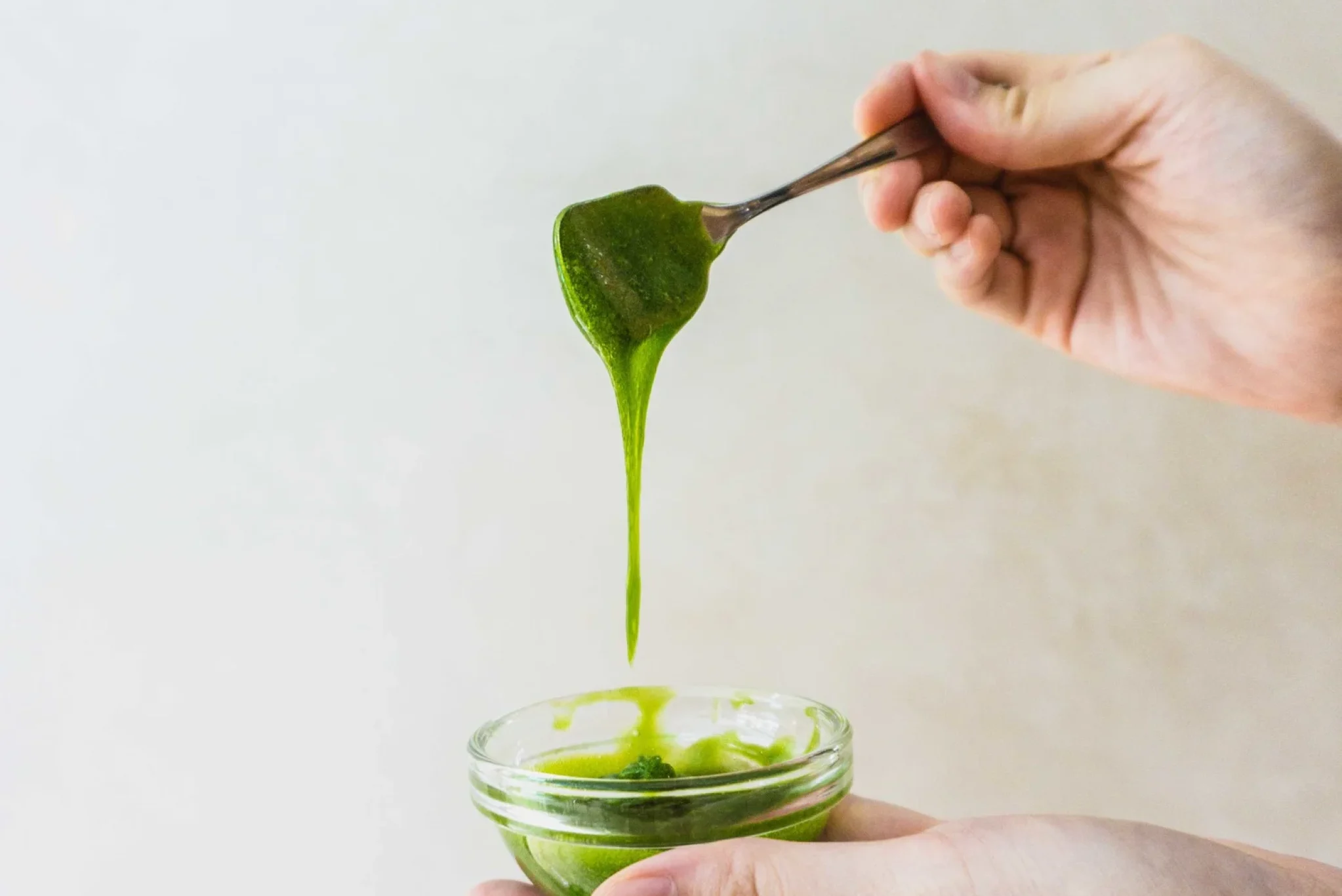The Pandan Hype (+ a recipe for kaya!)-3